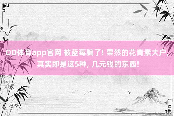 OD体育app官网 被蓝莓骗了! 果然的花青素大户, 其实即是这5种, 几元钱的东西!