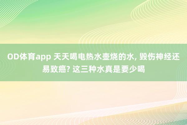 OD体育app 天天喝电热水壶烧的水， 毁伤神经还易致癌? 这三种水真是要少喝