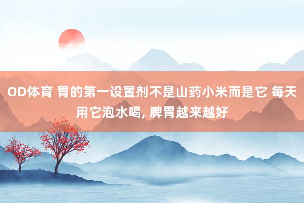 OD体育 胃的第一设置剂不是山药小米而是它 每天用它泡水喝, 脾胃越来越好