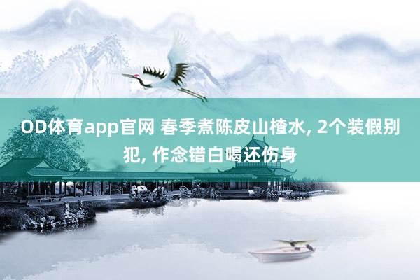 OD体育app官网 春季煮陈皮山楂水， 2个装假别犯， 作念错白喝还伤身
