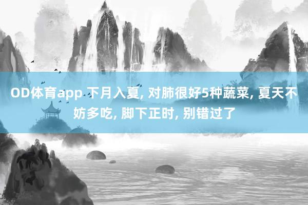 OD体育app 下月入夏， 对肺很好5种蔬菜， 夏天不妨多吃， 脚下正时， 别错过了