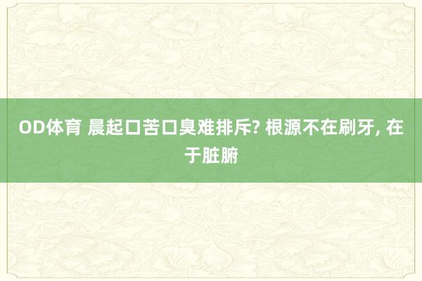 OD体育 晨起口苦口臭难排斥? 根源不在刷牙， 在于脏腑