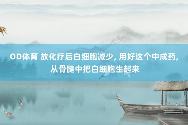 OD体育 放化疗后白细胞减少， 用好这个中成药， 从骨髓中把白细胞生起来