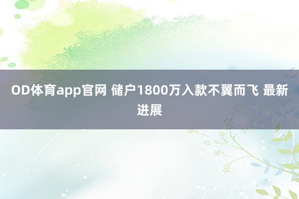 OD体育app官网 储户1800万入款不翼而飞 最新进展