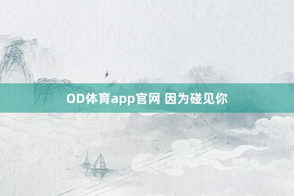 OD体育app官网 因为碰见你