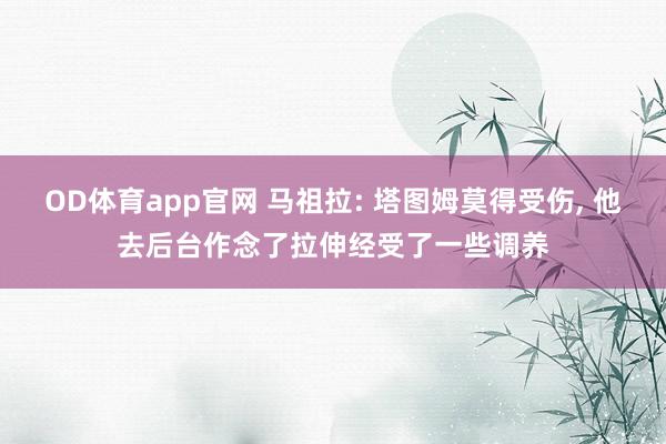 OD体育app官网 马祖拉: 塔图姆莫得受伤， 他去后台作念了拉伸经受了一些调养