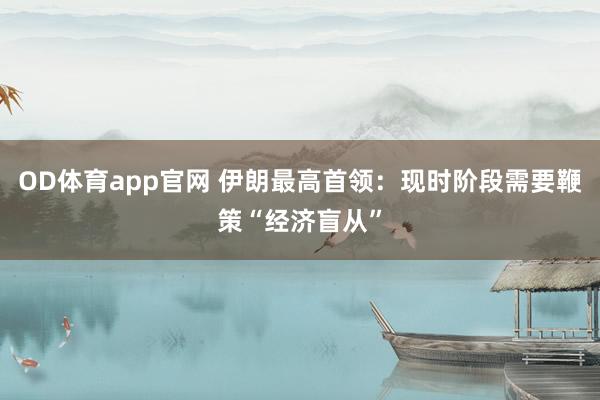 OD体育app官网 伊朗最高首领：现时阶段需要鞭策“经济盲从”
