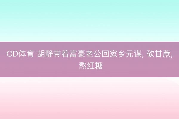 OD体育 胡静带着富豪老公回家乡元谋， 砍甘蔗， 熬红糖