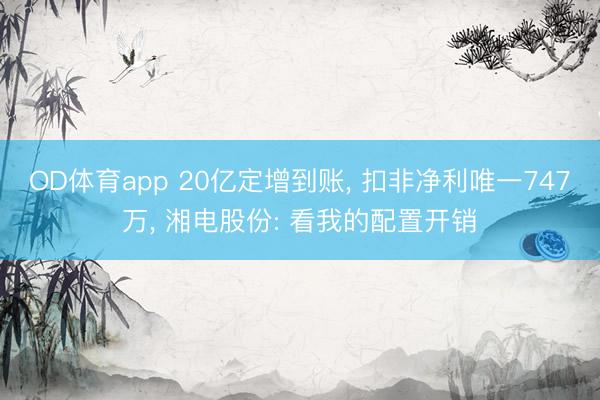 OD体育app 20亿定增到账， 扣非净利唯一747万， 湘电股份: 看我的配置开销